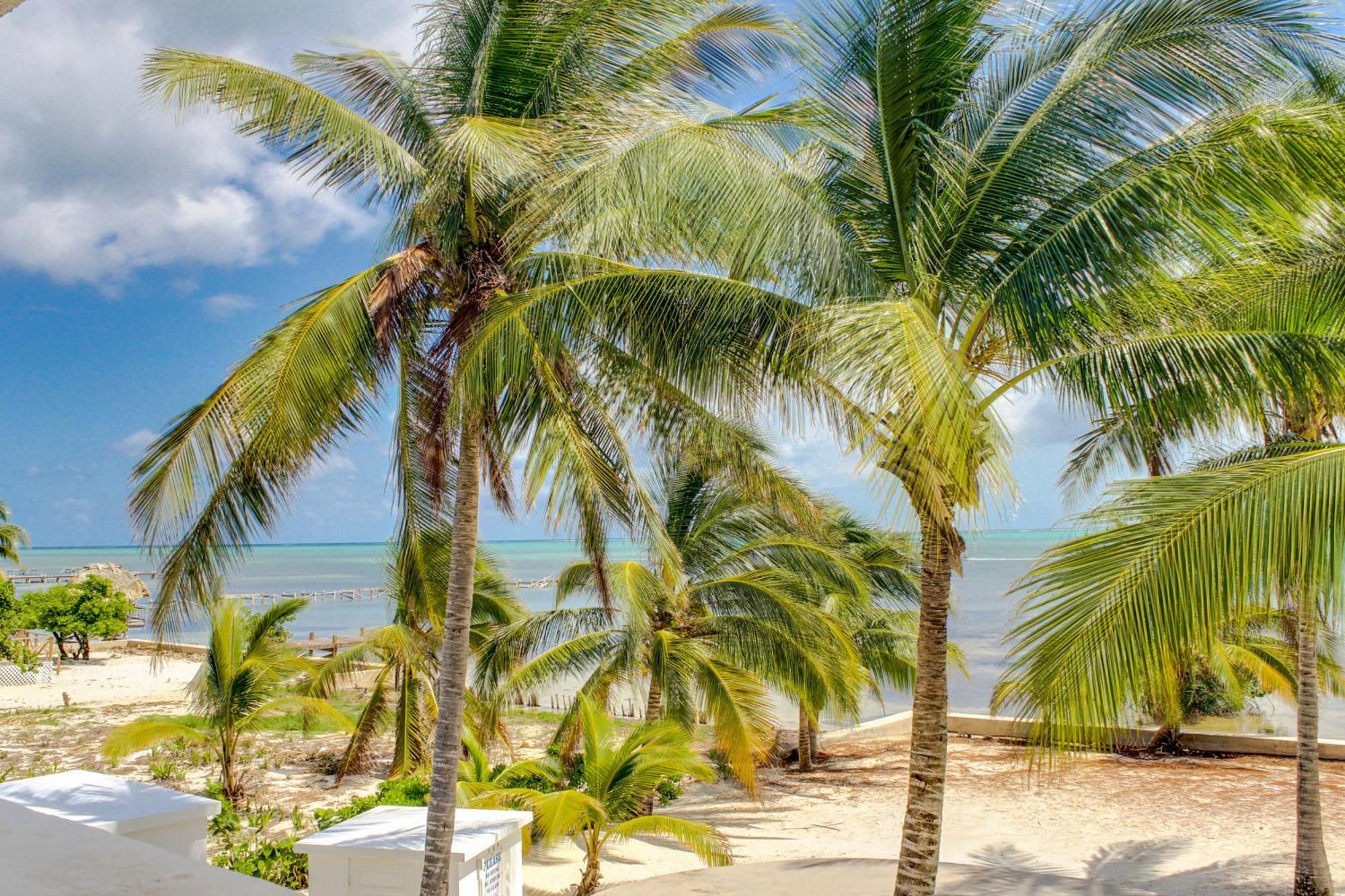 View The Blue Villa San Pedro  Room photo